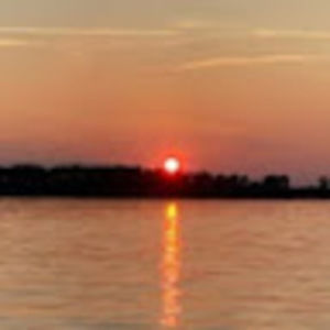 Meet your Posher, Nicky